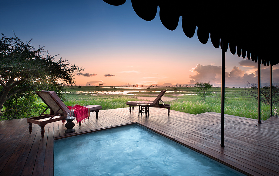 Luxury Safari Lodges in Africa: Where to Experience Wildlife in Style