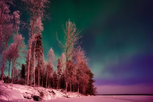  Experience Finland in December: Top Winter Activities