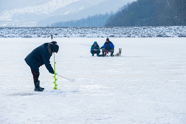  Experience Finland in December: Top Winter Activities