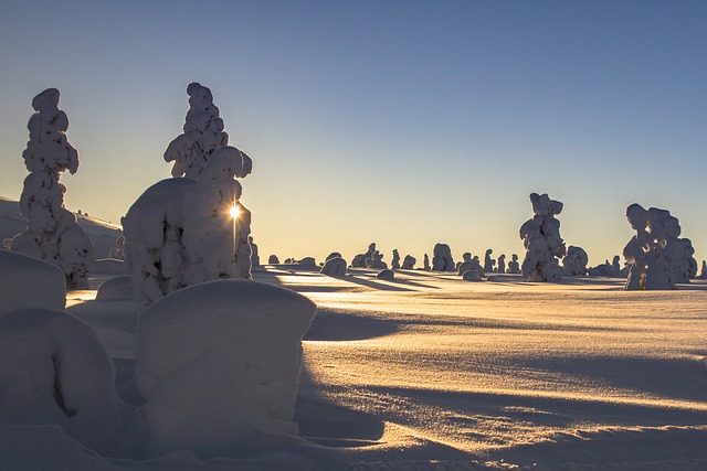  Experience Finland in December: Top Winter Activities