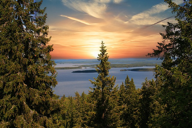 Experience Finland in December: Top Winter Activities