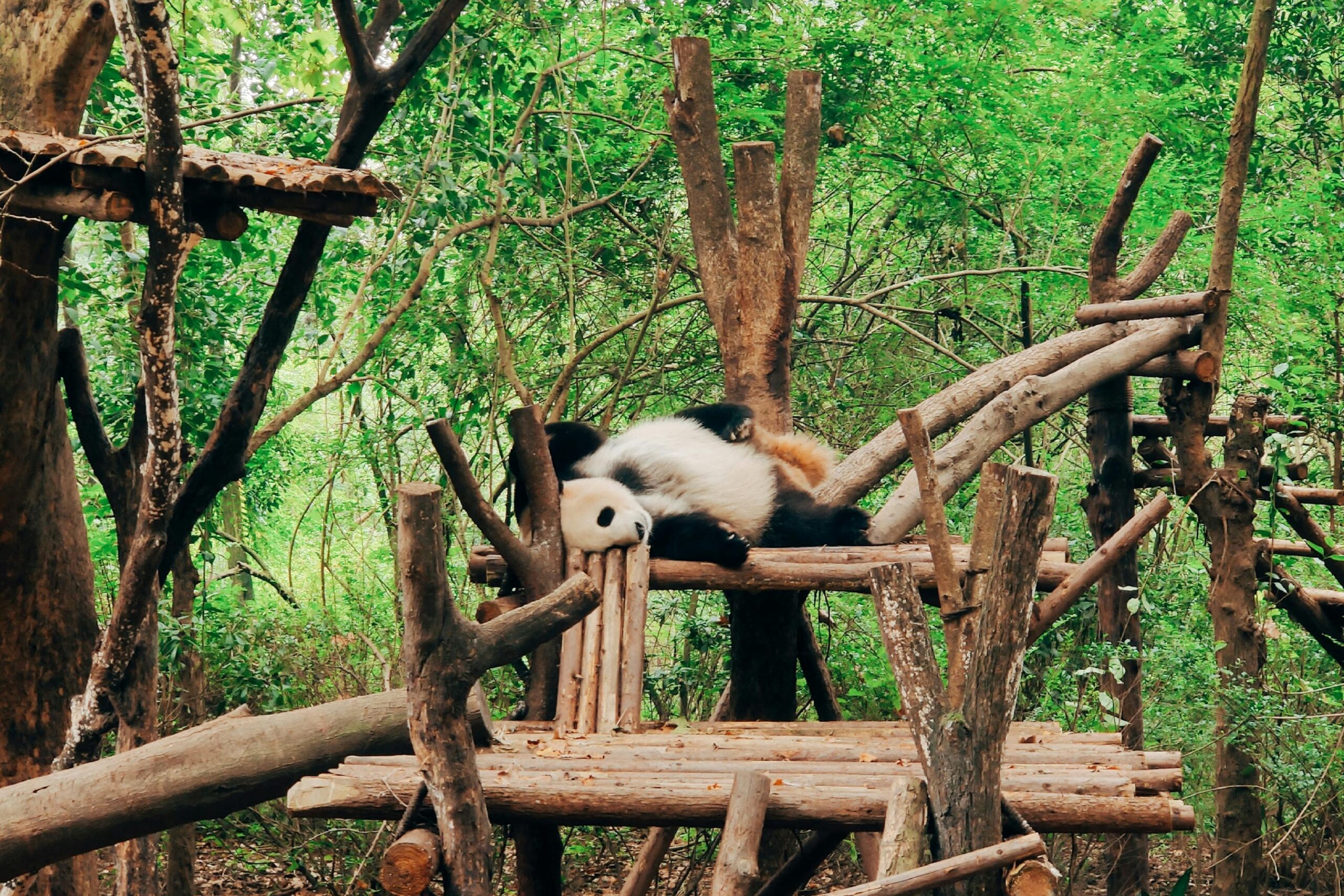 Top 20 Best Places to Visit in China for Your Next Adventure