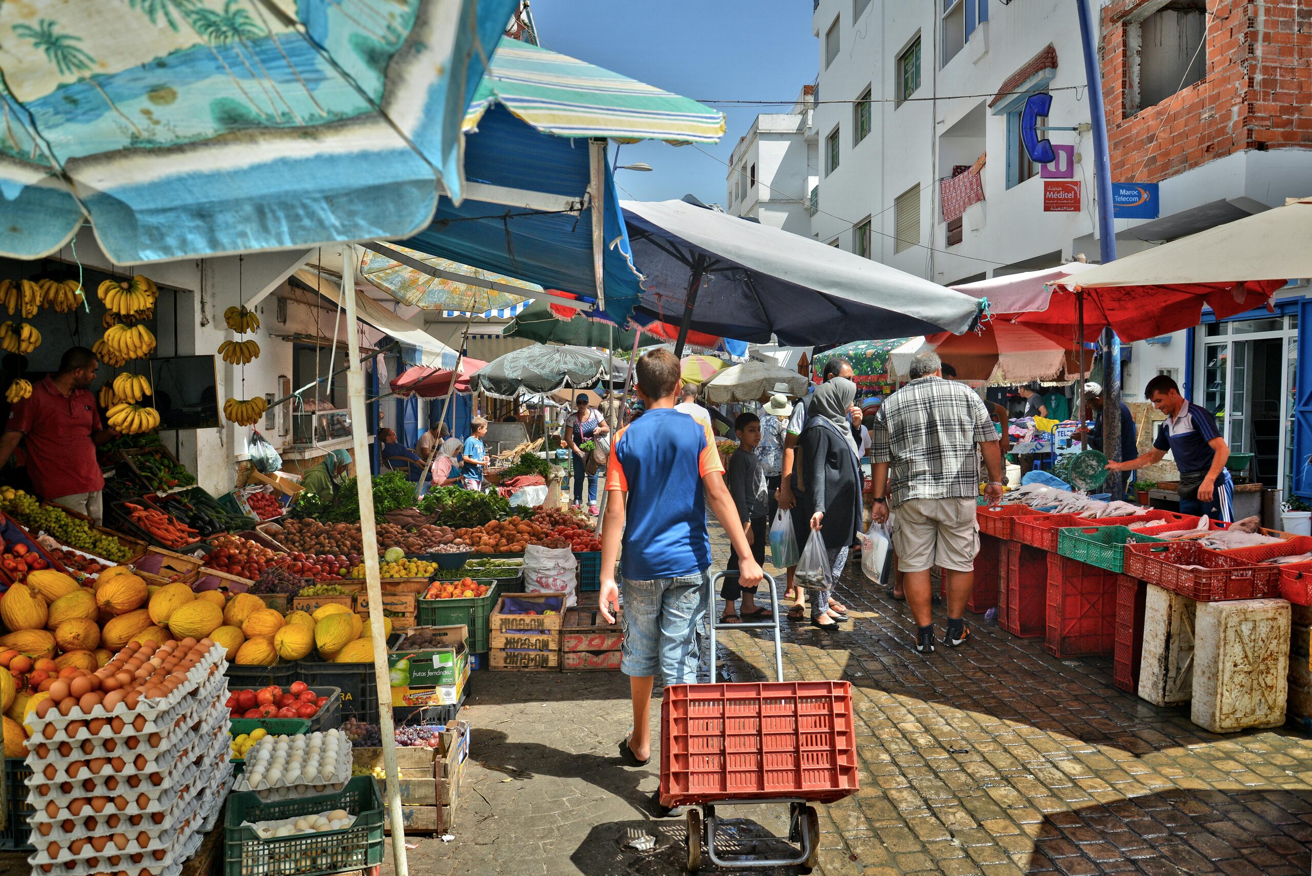 Top 10 Things To Do In Hilo | Hawaii's Big Island