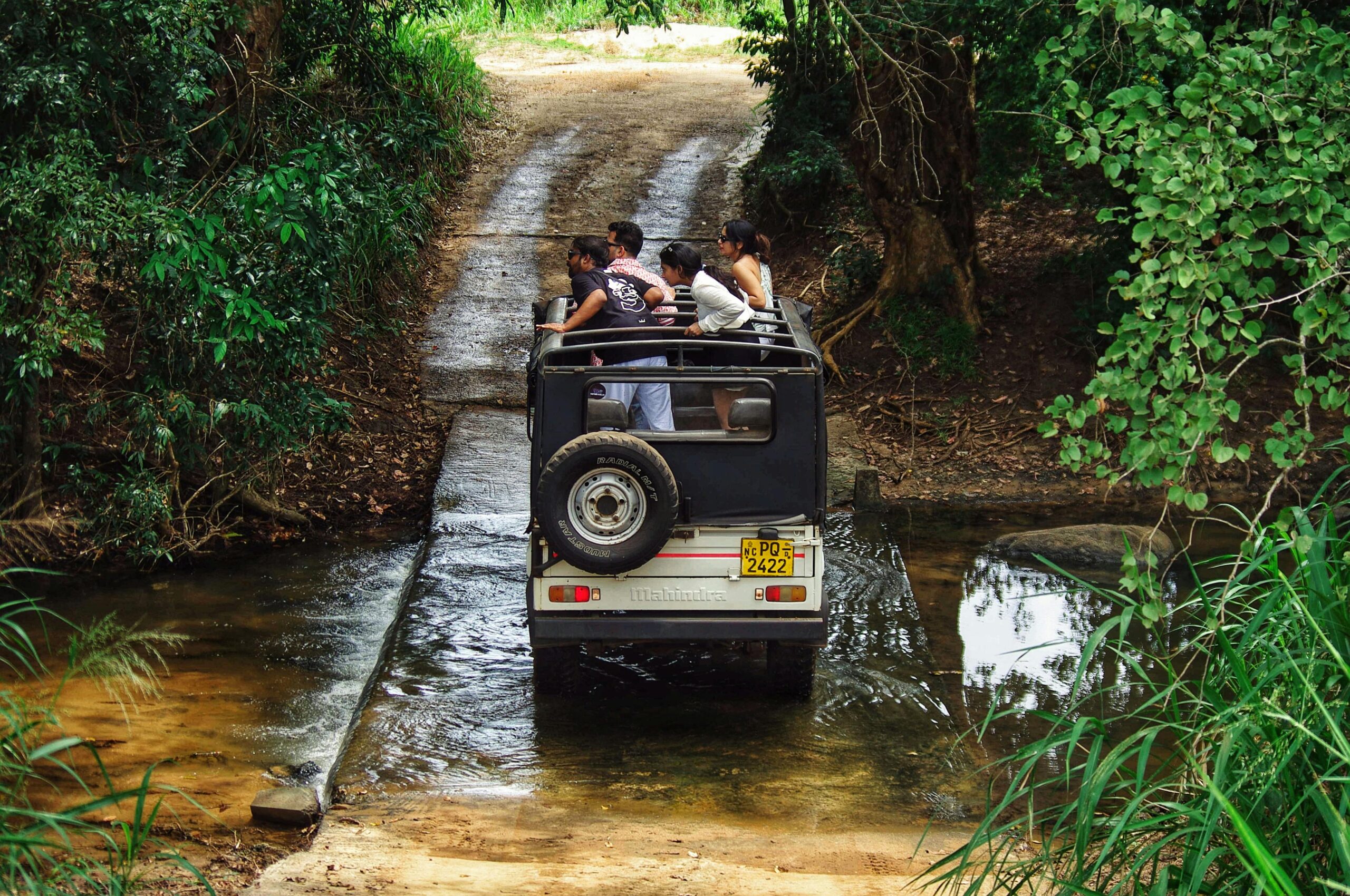 Safari in Sri Lanka: When to Go and What to See