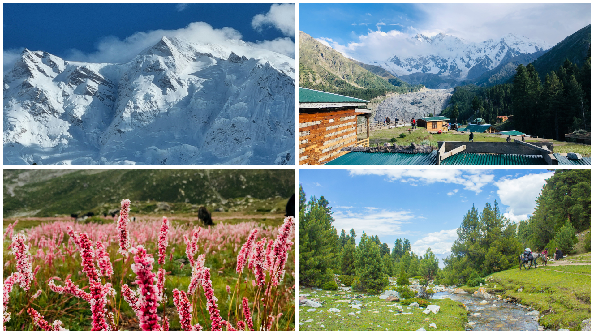 Fairy Meadows National Park, Pakistan | Complete Guide