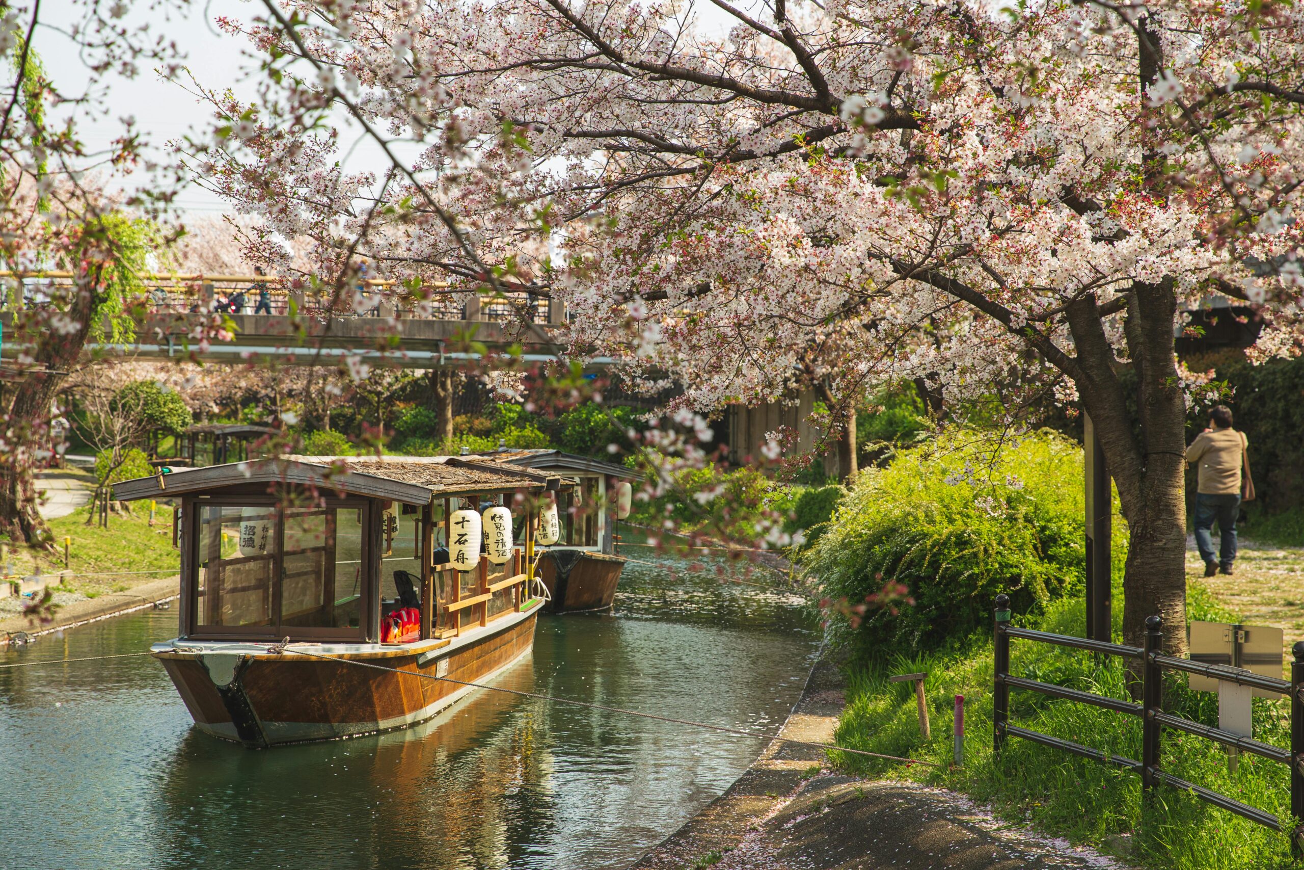 Can You Do a Day Trip to Kyoto from Tokyo? Complete Guide 2025