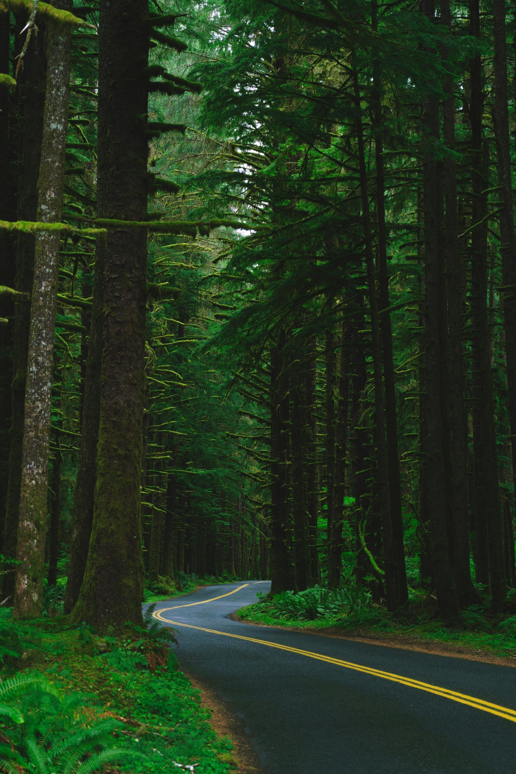 10 Best Places to Visit in August in the USA + Complete Tour Guide