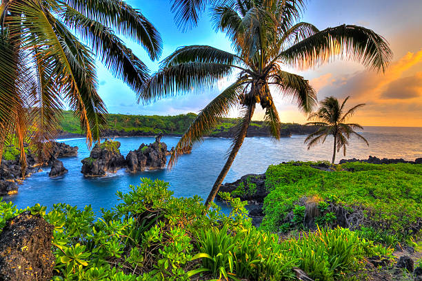 12 Best Things to Do in Maui with Kids
