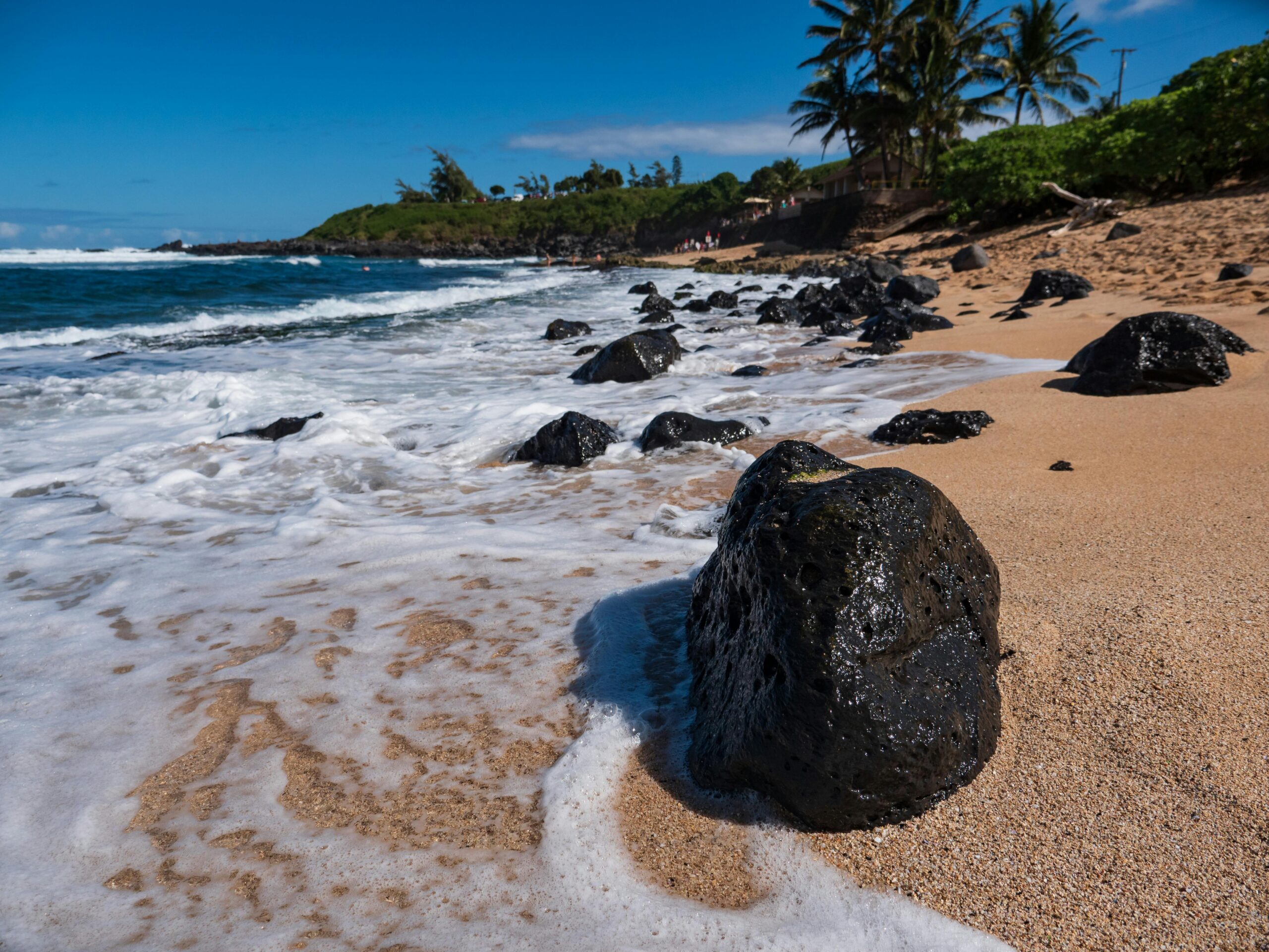 12 Best Things to Do in Maui with Kids